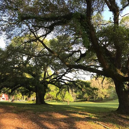 Canemount Plantation Inn Westside Extérieur photo
