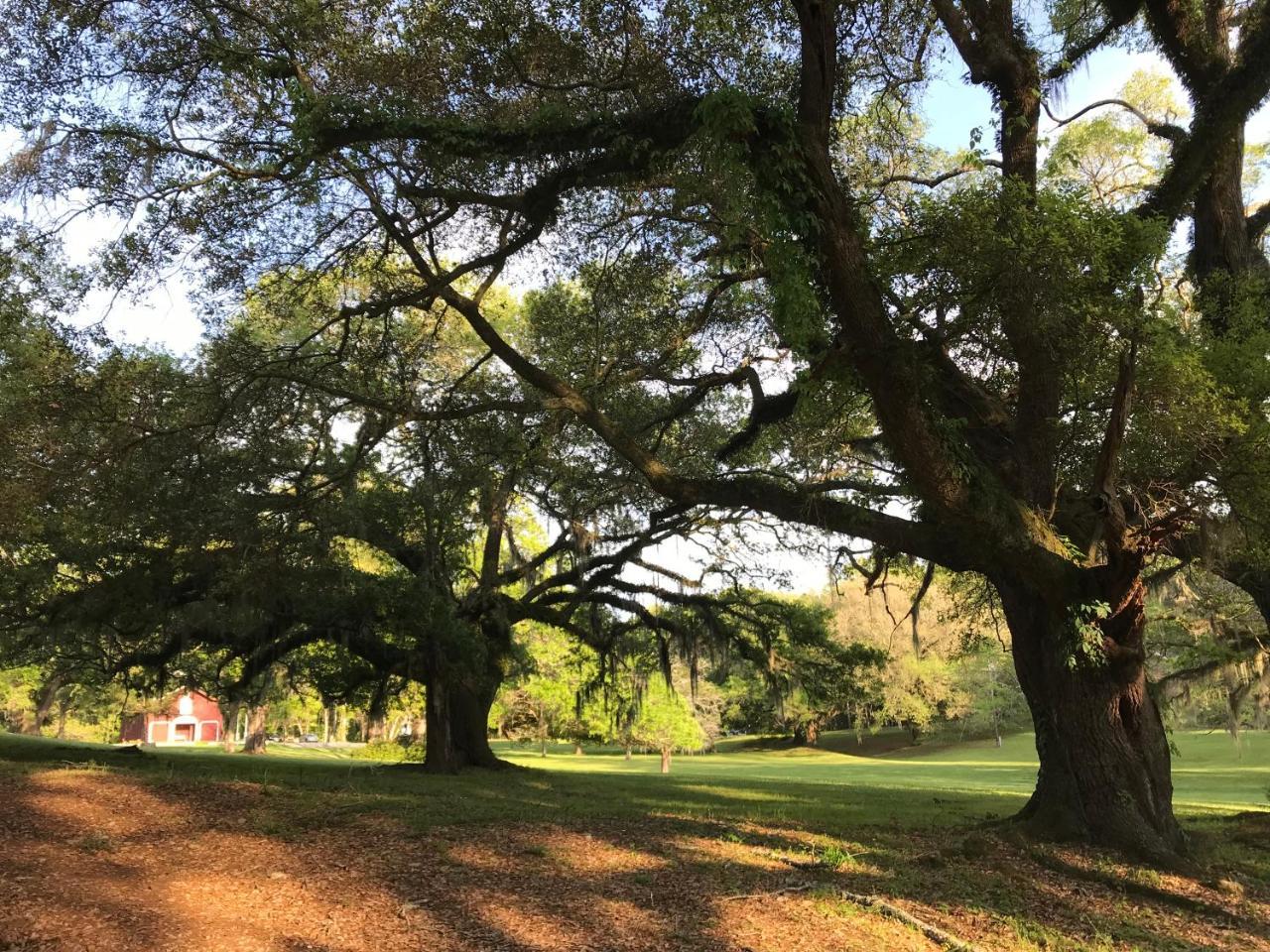 Canemount Plantation Inn Westside Extérieur photo