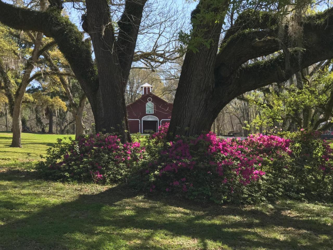 Canemount Plantation Inn Westside Extérieur photo