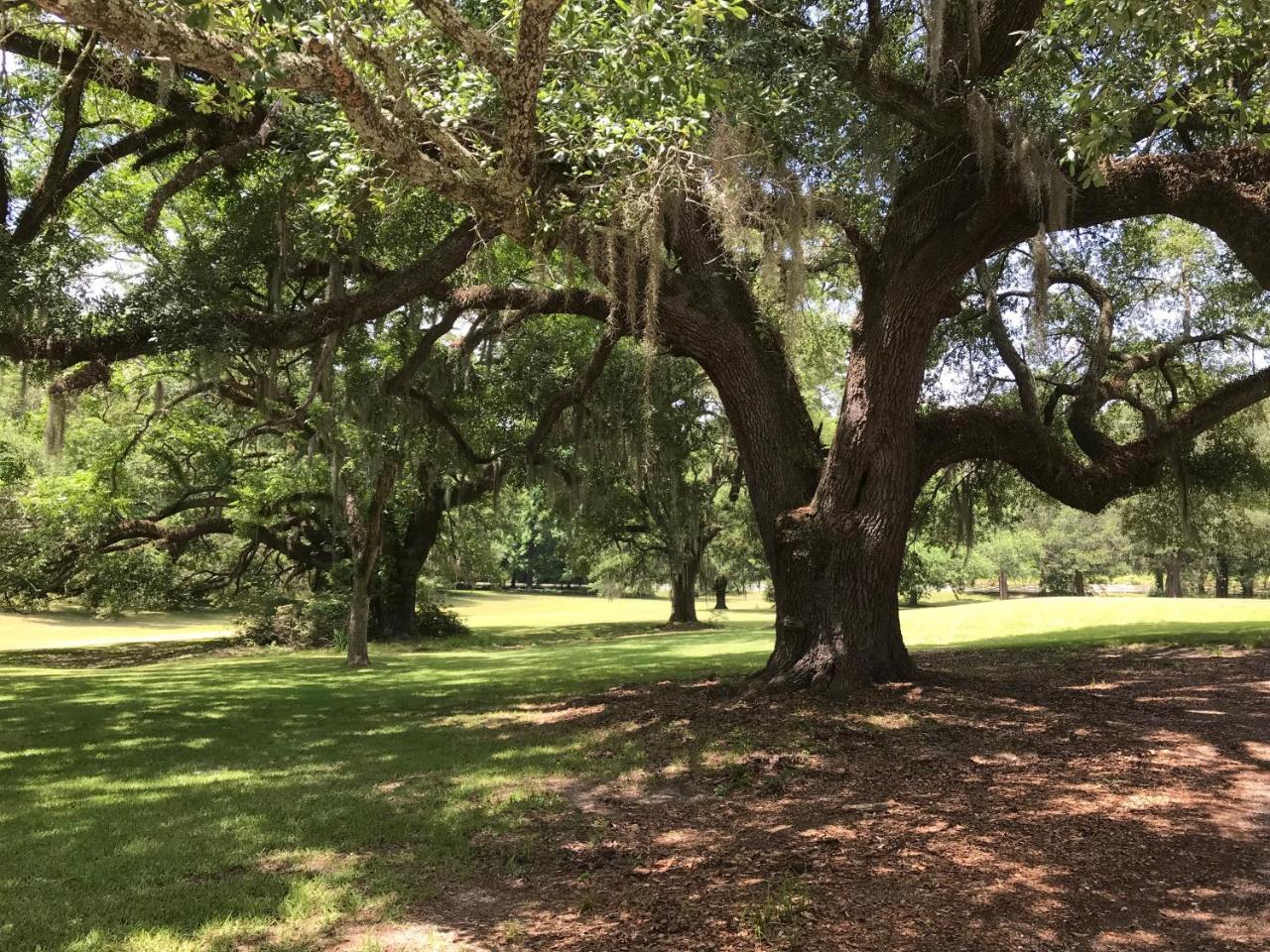 Canemount Plantation Inn Westside Extérieur photo